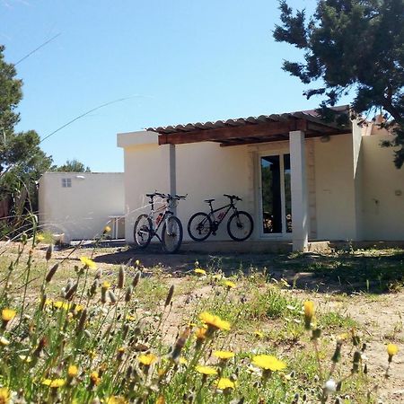 La Casita Yolanda, Ideal Parejas - Formentera Natural サン・フェラン・デ・セス・ロケス エクステリア 写真